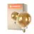 Ledvance Smart+ Wifi E27 G125 8W 600lm - 822-850 Regolabile Bianca | Dimmerabile - Sostitutiva 60W