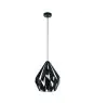 Eglo Luce Pendente Carlton 1 Acciaio Nero | IP20 - Adatto per 1x E27 