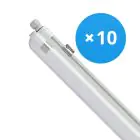 Confezione Multipack 10x Philips Stagna LED CoreLine WT120C G2 42.9W 6000lm - 840 Bianco Freddo | 150cm 