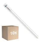 Confezione Multipack 10x Philips Master Tubo LED T8 (EM/Mains) High Output T8 7.6W 1150lm - 840 Bianco Freddo | 60cm - Sostitutiva 18W
