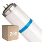 Confezione Multipack 25x Philips TL-D MASTER Secura Actinic BL 15W - Blacklight | 44cm