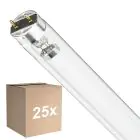 Confezione Multipack 25x Philips T8 UV - C 17W - Ultravioletto | 60cm