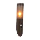 Eglo Luce Da Parete Helsinki Acciaio Inossidabile Marrone | IP55 - Adatto per 1x E27 - Sensore Di Movimento